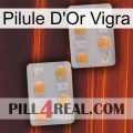 Vigra Gold Pill 25